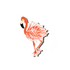 Flamingo Attachment - So & Sew Boutique